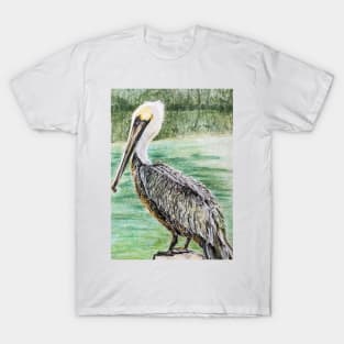 Pelican, color pencil illustration T-Shirt